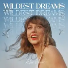 Обложка: Taylor Swift - Wildest Dreams (Robots With Rayguns Remix)