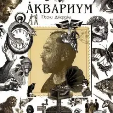 Обложка: Аквариум - Ангел дождя
