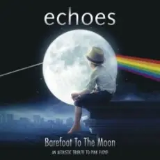 Обложка: Echoes – Shine on you crazy diamond