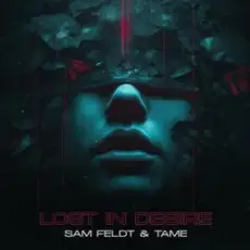 Обложка: Sam Feldt & TAME - Lost In Desire