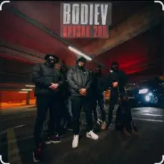 Обложка: Bodiev - Самурай