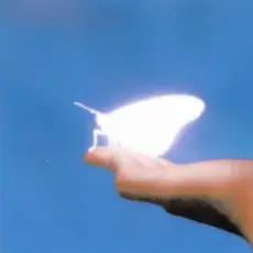 Обложка: Shallou - Glimmer