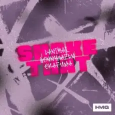 Обложка: Danimal & Sonny Wern - Shake That
