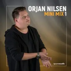 Обложка: Orjan Nilsen - The Late Anthem (Way Too Late Mix)