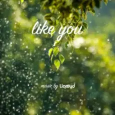 Обложка: LiQWYD - Like You