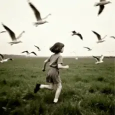 Обложка: Music Inside – Щастя не купиш