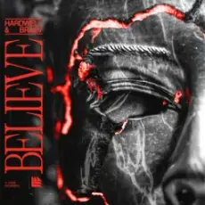 Обложка: Hardwell & Braev - Believe