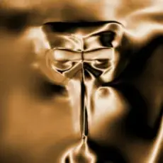 Обложка: Claptone – Disappear
