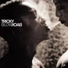 Обложка: Tricky - Diss Never