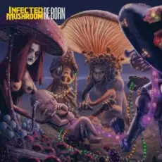 Обложка: Infected Mushroom - Z.16 Open