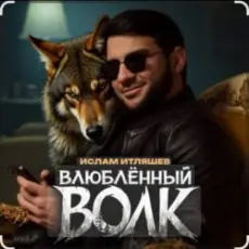 Обложка: Ислам Итляшев - Влюблённый волк