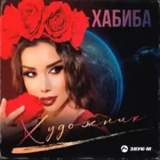 Обложка: Хабиба – Художник