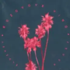 Обложка: Элджей & Feduk & Авария - Розовое Новогоднее Вино