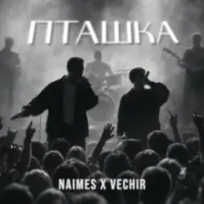 Обложка: NAIMES & VECHIR – пташка
