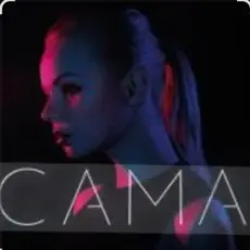 Обложка: Алиса Вокс - Королева Тиндера