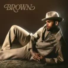 Обложка: Chris Brown – For The Moment