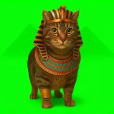 Обложка: XertXetin - OIIA OIIA EGYPT CAT (Slowed)