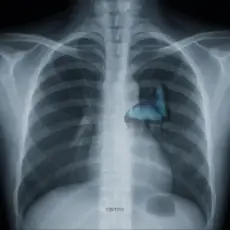 Обложка: Vsivdoma - Світло