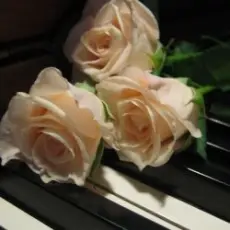 Обложка: Василь Котович – Я ніколи нікому тебе не віддам