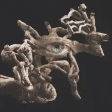 Обложка: Аквариум – Минск, Пинск и Северодвинск