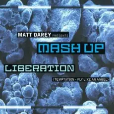 Обложка: Matt Darey pres. Mash Up - Liberation (Ferry Corsten Remix)