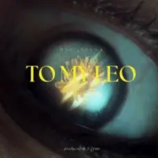 Обложка: Hsu Rinaa - To My Leo (Violex Distortion Remix)