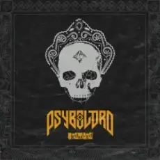 Обложка: Psybolord - Ломаные пляски
