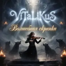 Обложка: ViTaLiKuS - Волшебная скрипка