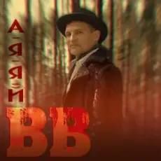 Обложка: Воплi Вiдоплясова - А я я й