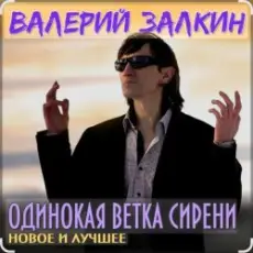 Обложка: Валерий Залкин - Одинокая ветка сирени