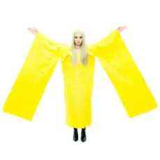 Обложка: Poppy - Mind Aide