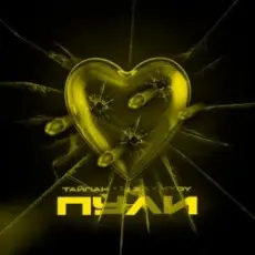 Обложка: Тайпан feat. LI ZA & HYDY - Пули