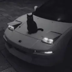 Обложка: supwel - "not alone" (chill, wave vibe)