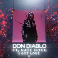 Обложка: Don Diablo feat. Nate Dogg - I Got Love