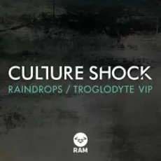 Обложка: Culture Shock - Troglodyte (VIP)