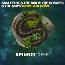 Обложка: Sam Feldt & The Him ft. The Donnies The Amys – Drive You Home (Original Mix)