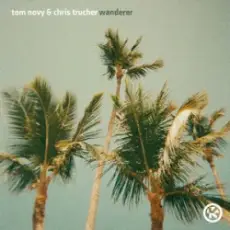 Обложка: Tom Novy & Chris Trucher - Wanderer