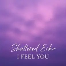 Обложка: Shattered Echo - I Feel You
