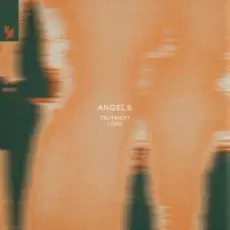 Обложка: TELYKAST & Loek - Angels