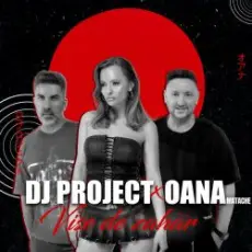 Обложка: Dj Project - Departe de noi Original