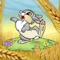 Обложка: Ансамбль Проміньчик – Ой на горi жито