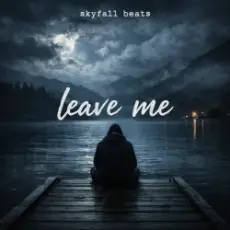 Обложка: skyfall beats – leave me