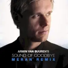 Обложка: Armin van Buuren - The Sound Of Goodbye (Radio Edit)