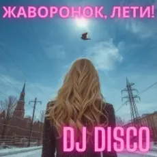 Обложка: DJ Disco - Жаворонок