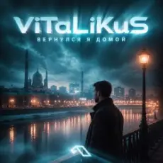 Обложка: ViTaLiKuS - Вернулся я домой