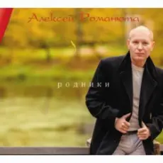 Обложка: Алексей Романюта - Забудь