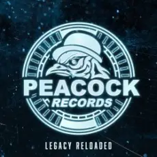 Обложка: Dr. Peacock & Hyrule War - Imagination (Original Mix)