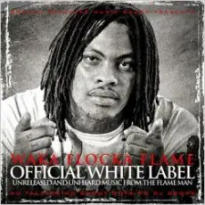 Обложка: Waka Flocka Flame - Call waka