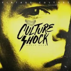 Обложка: Vintage Culture - Culture Shock