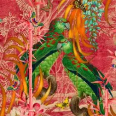 Обложка: Adam Ellis - Aulus